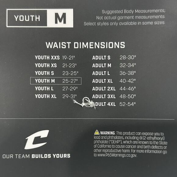 NWT Champro Baseball Pant Youth MED Triple Crown Open Botton White w Blue Stripe - Picture 6 of 6